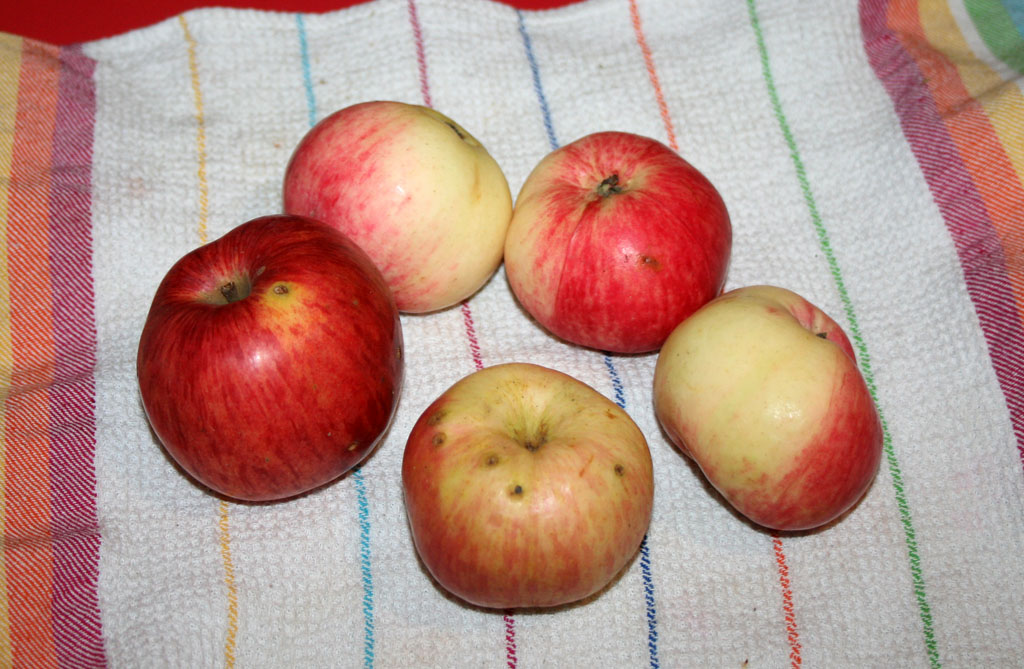 apple